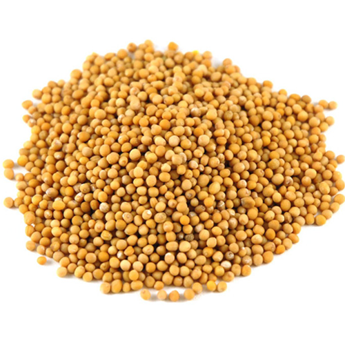 yellowMustard